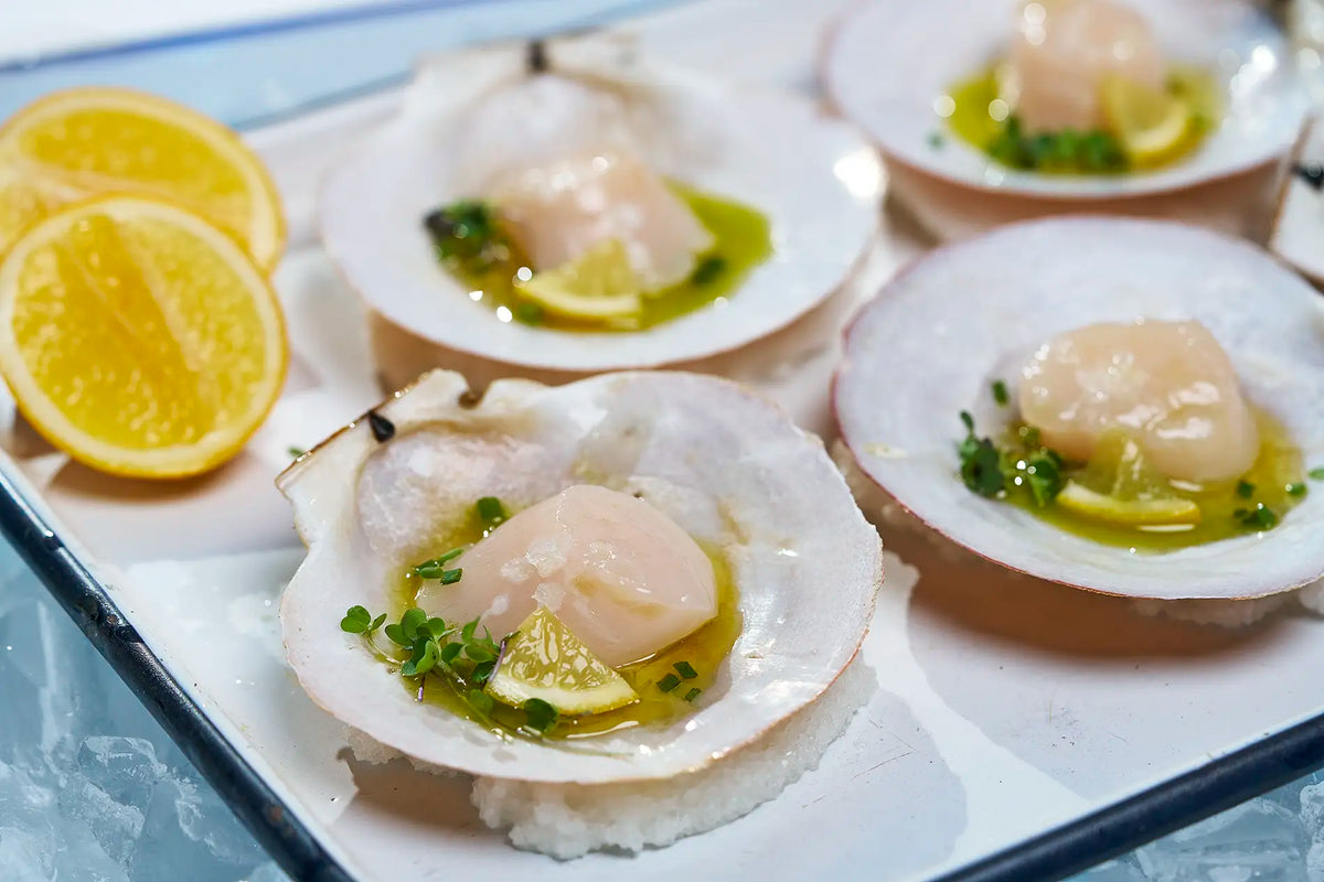 Main Scallop Shell Scallops on the Half-Shell with Chive Oil – Vertical Bay